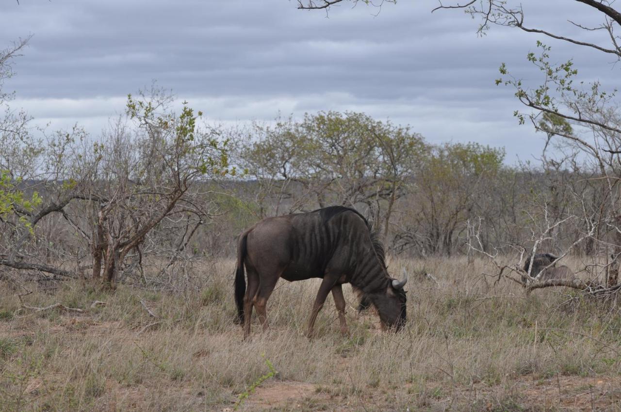 Hazyview Buffalo Game Lodge Exterior foto